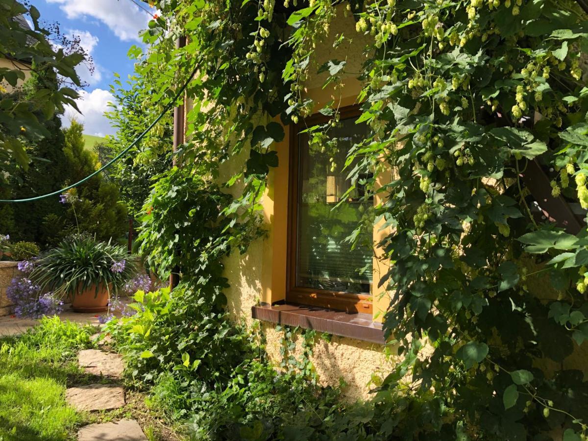 Ferienhaus Erzgebirge "An Der Trebe" Mit Kamin Und Sauna Neuhausen  Εξωτερικό φωτογραφία