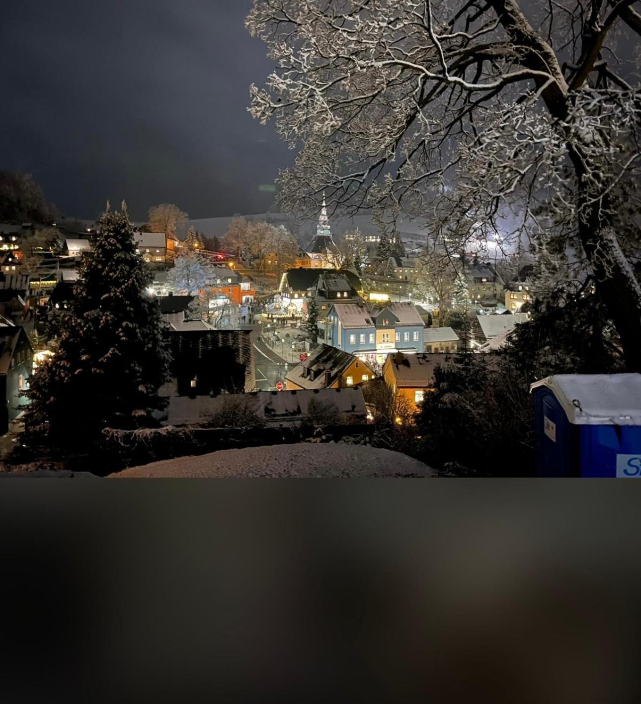 Ferienhaus Erzgebirge "An Der Trebe" Mit Kamin Und Sauna Neuhausen  Εξωτερικό φωτογραφία