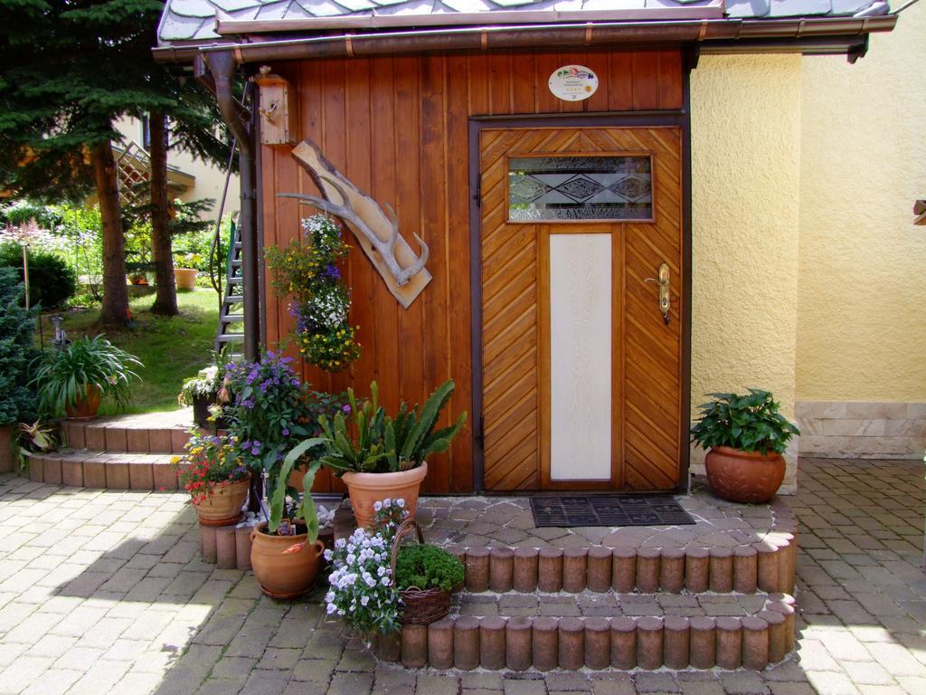 Ferienhaus Erzgebirge "An Der Trebe" Mit Kamin Und Sauna Neuhausen  Δωμάτιο φωτογραφία