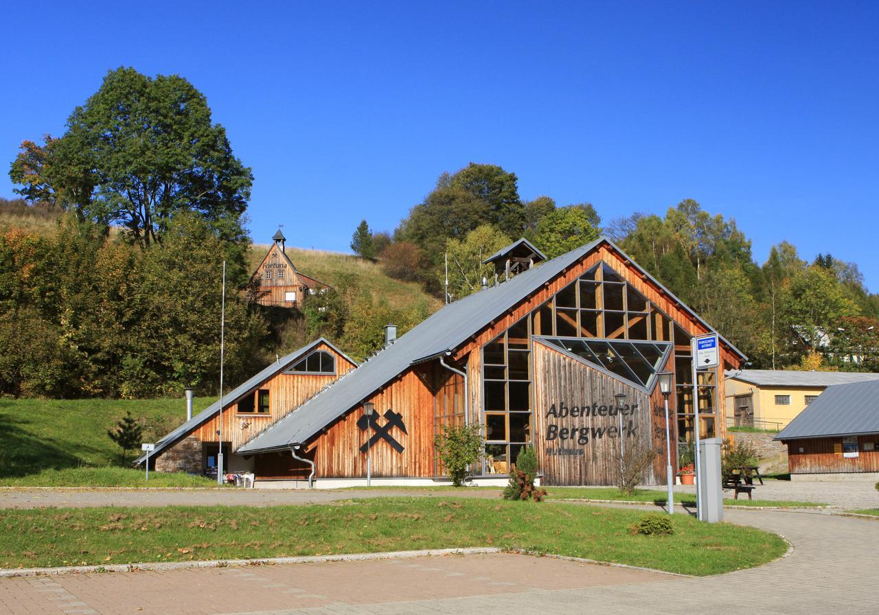 Ferienhaus Erzgebirge "An Der Trebe" Mit Kamin Und Sauna Neuhausen  Εξωτερικό φωτογραφία