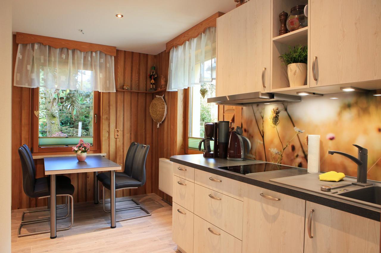 Ferienhaus Erzgebirge "An Der Trebe" Mit Kamin Und Sauna Neuhausen  Εξωτερικό φωτογραφία